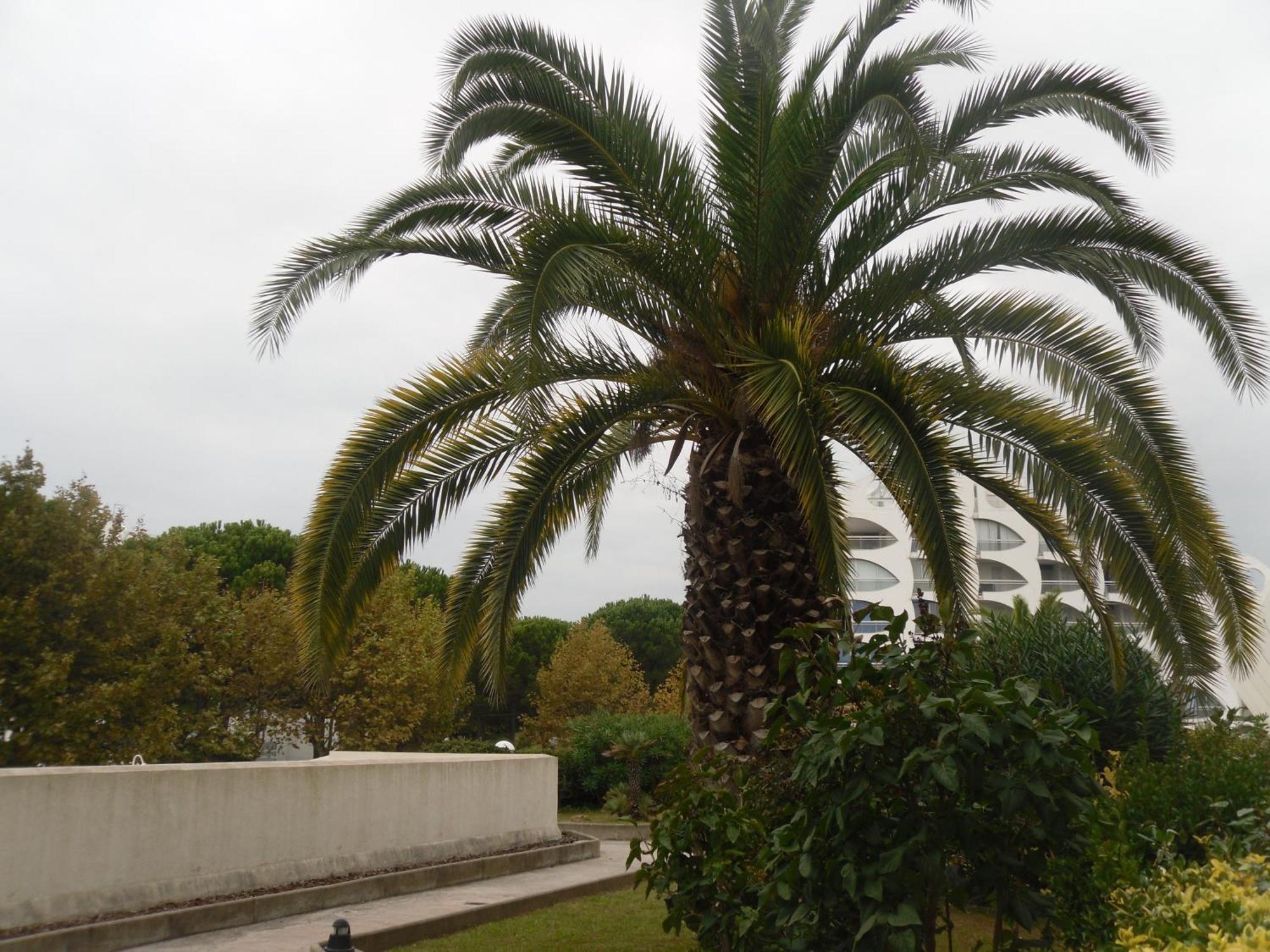 לה גרנד מוט Vittoria Immobilier 9 -Reglement Sur Place - Cheques Vacances Acceptes מראה חיצוני תמונה